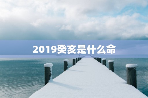 2019癸亥是什么命