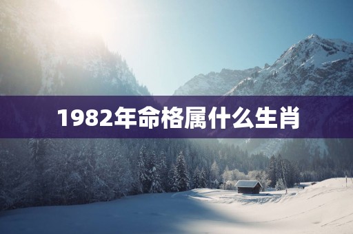 1982年命格属什么生肖