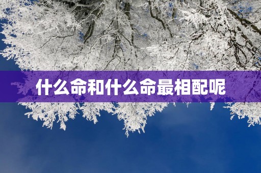 什么命和什么命最相配呢