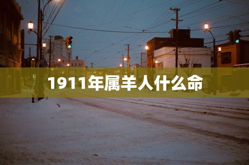 1911年属羊人什么命