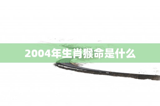 2004年生肖猴命是什么