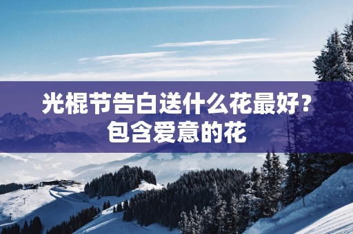 光棍节告白送什么花最好？包含爱意的花