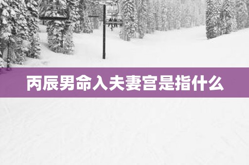 丙辰男命入夫妻宫是指什么