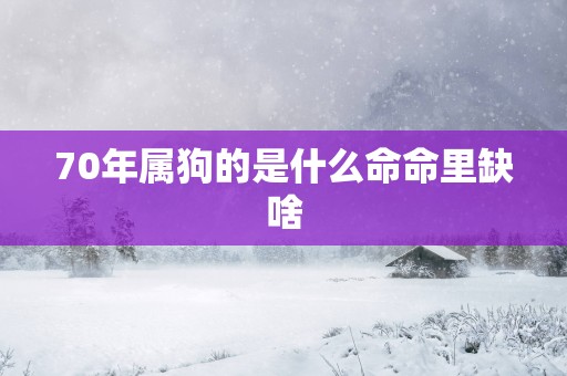 70年属狗的是什么命命里缺啥