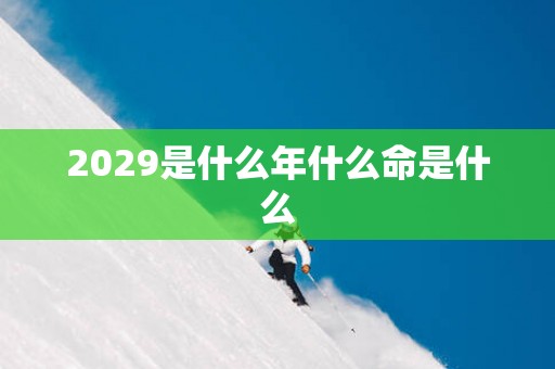 2029是什么年什么命是什么