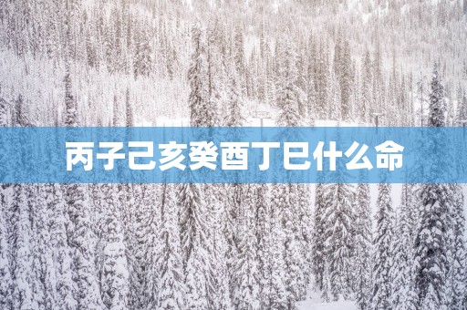 丙子己亥癸酉丁巳什么命