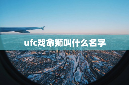 ufc戏命狮叫什么名字