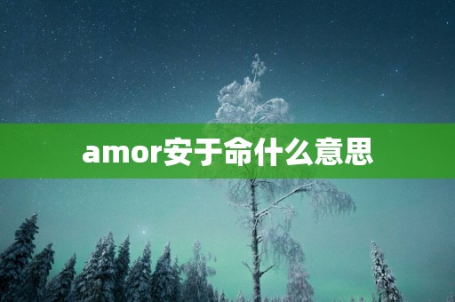 amor安于命什么意思