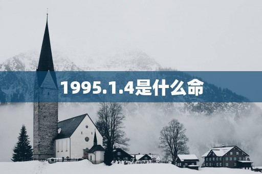 1995.1.4是什么命