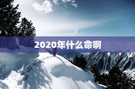 2025年什么命啊