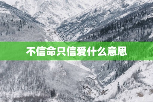 不信命只信爱什么意思