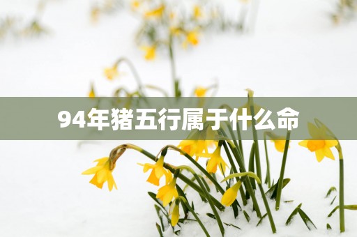 94年猪五行属于什么命