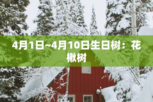 4月1日~4月10日生日树：花楸树