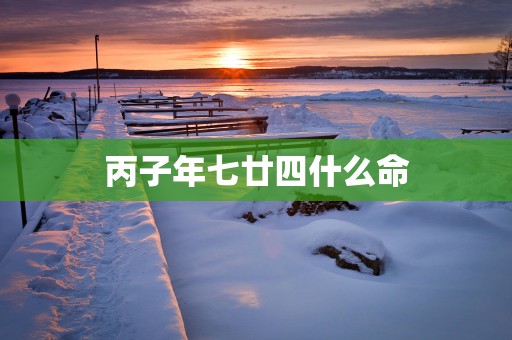 丙子年七廿四什么命