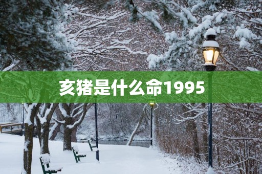 亥猪是什么命1995