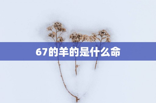 67的羊的是什么命