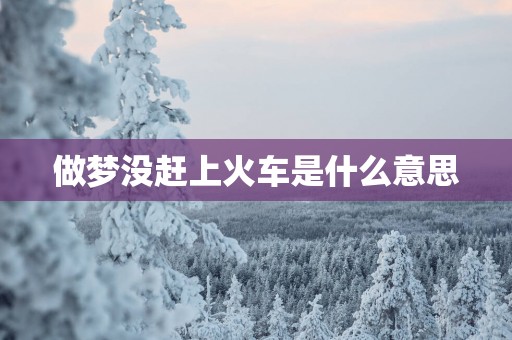 做梦没赶上火车是什么意思