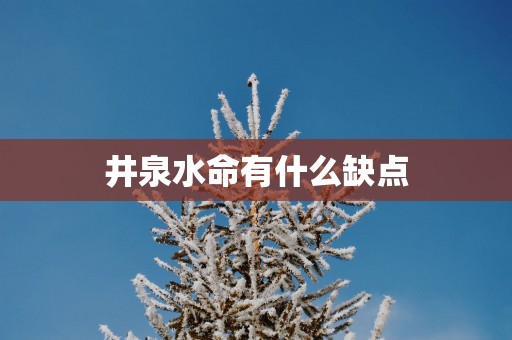 井泉水命有什么缺点