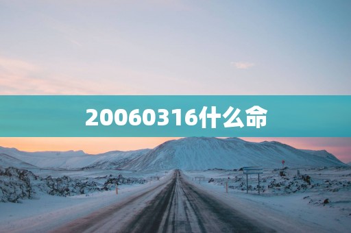 20060316什么命