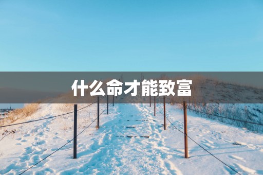 什么命才能致富