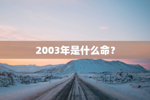 2003年是什么命？