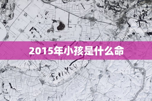 2015年小孩是什么命