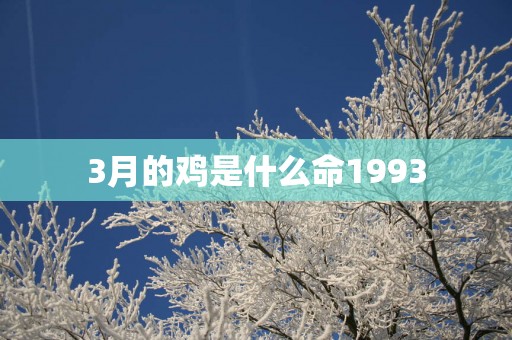 3月的鸡是什么命1993