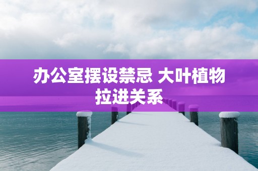 办公室摆设禁忌 大叶植物拉进关系
