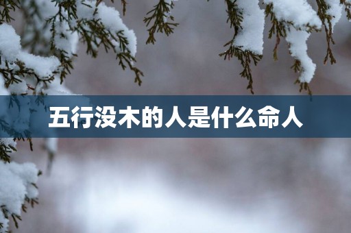 五行没木的人是什么命人