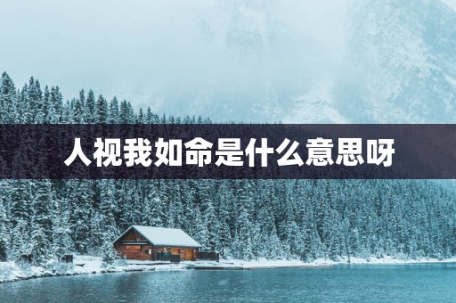 人视我如命是什么意思呀