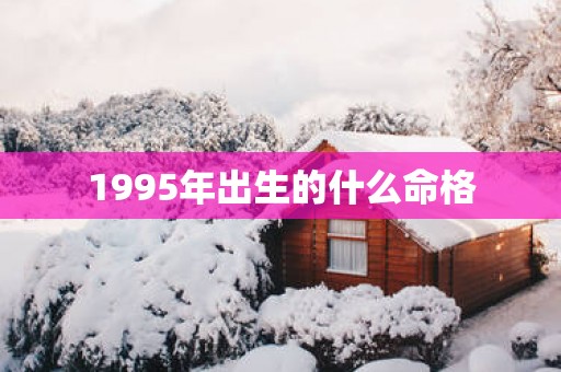 1995年出生的什么命格