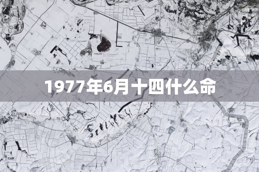 1977年6月十四什么命