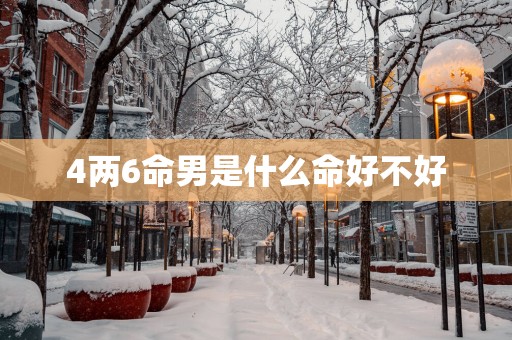 4两6命男是什么命好不好 4两6命男是什么命好不好