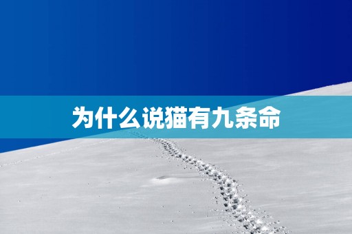 为什么说猫有九条命