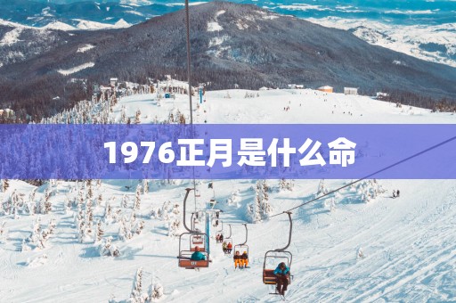 1976正月是什么命