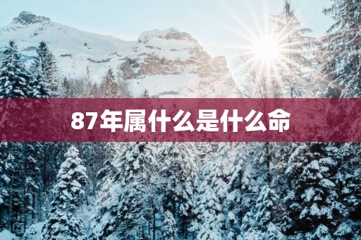 87年属什么是什么命