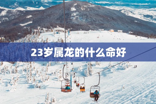 23岁属龙的什么命好