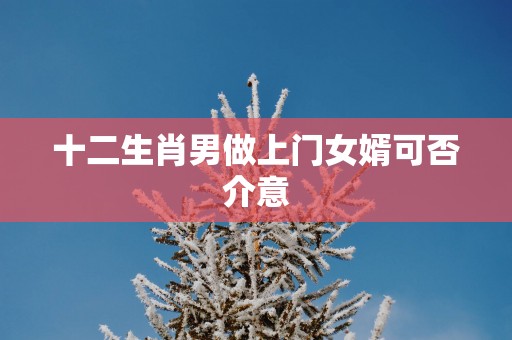十二生肖男做上门女婿可否介意