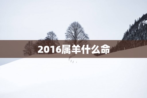 2016属羊什么命