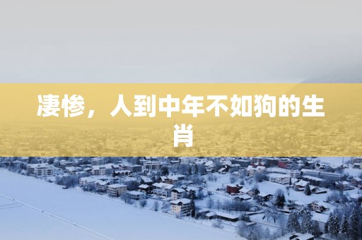 凄惨，人到中年不如狗的生肖