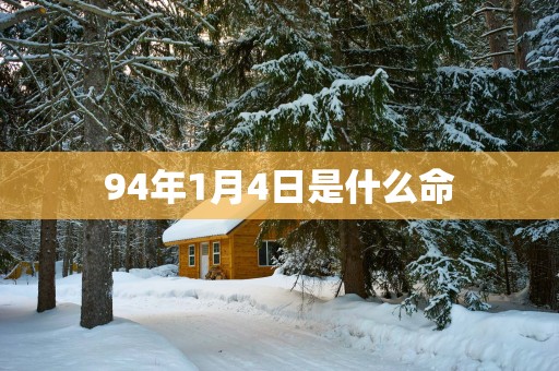 94年1月4日是什么命