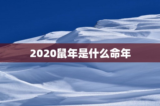 2025蛇年是什么命年