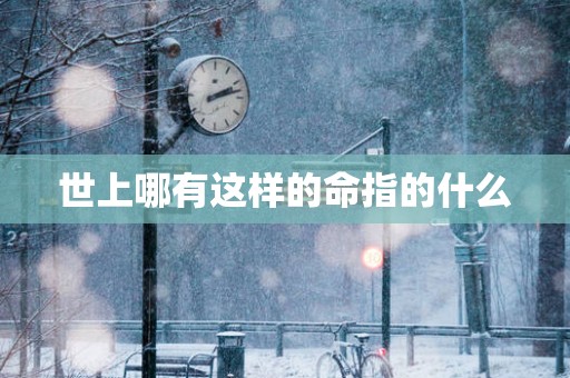 世上哪有这样的命指的什么