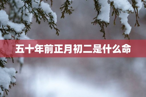 五十年前正月初二是什么命