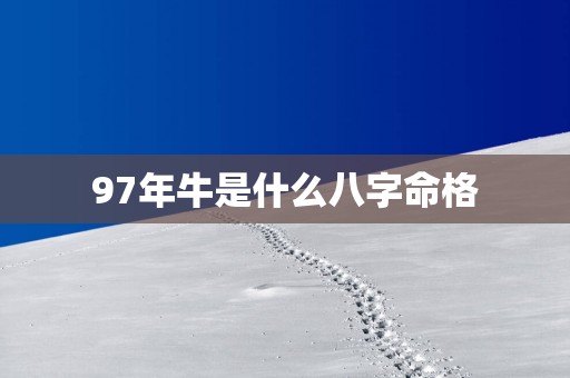 97年牛是什么八字命格