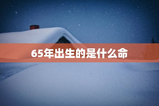 65年出生的是什么命