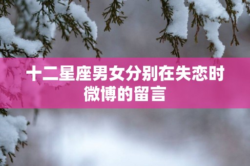 十二星座男女分别在失恋时微博的留言