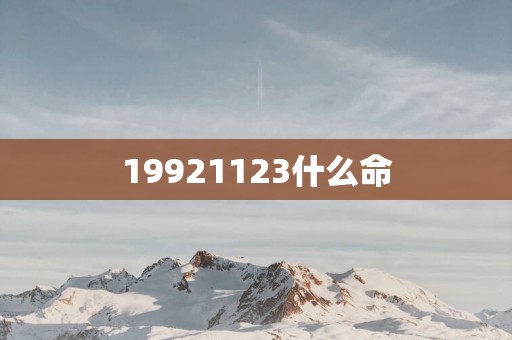 19921123什么命