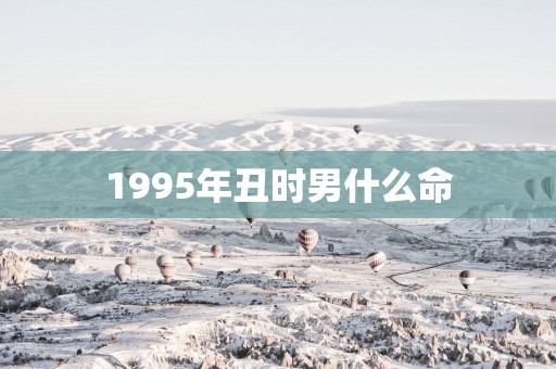 1995年丑时男什么命