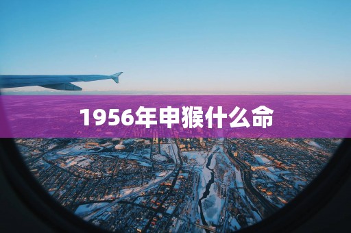 1956年申猴什么命